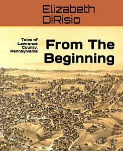 book cover of from the beginning by dirisio