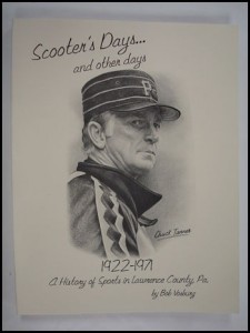 book cover to scooter days and other days