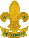 scout fleur de lis