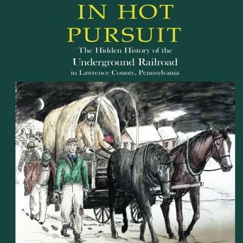 book cover in hot pursuit