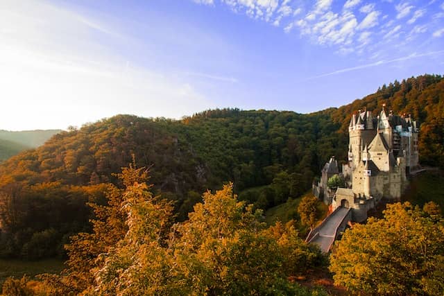 photo of german castle surrounded by trees in the mountains