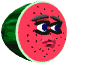 Watermelon spitting seeds