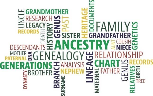 genealogy 101